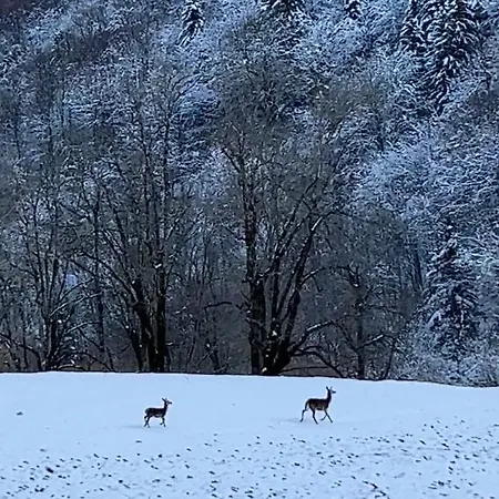 La Bergerie Marie Saint-Aventin