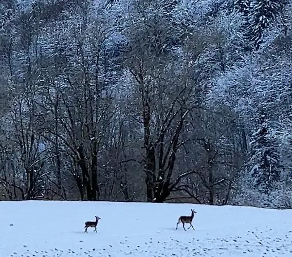 La Bergerie Marie Saint-Aventin